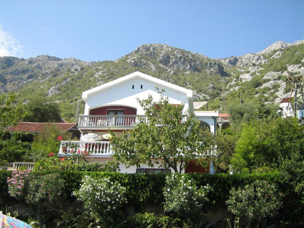 Apartments Biga Morinj Bagian luar foto